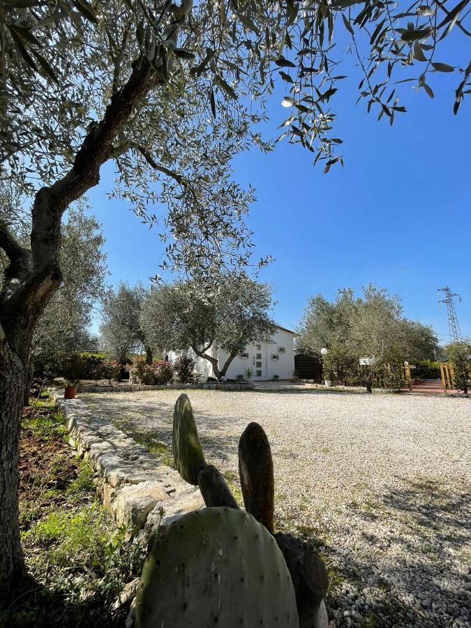 Villa Dama تْشيستيرنِنو المظهر الخارجي الصورة