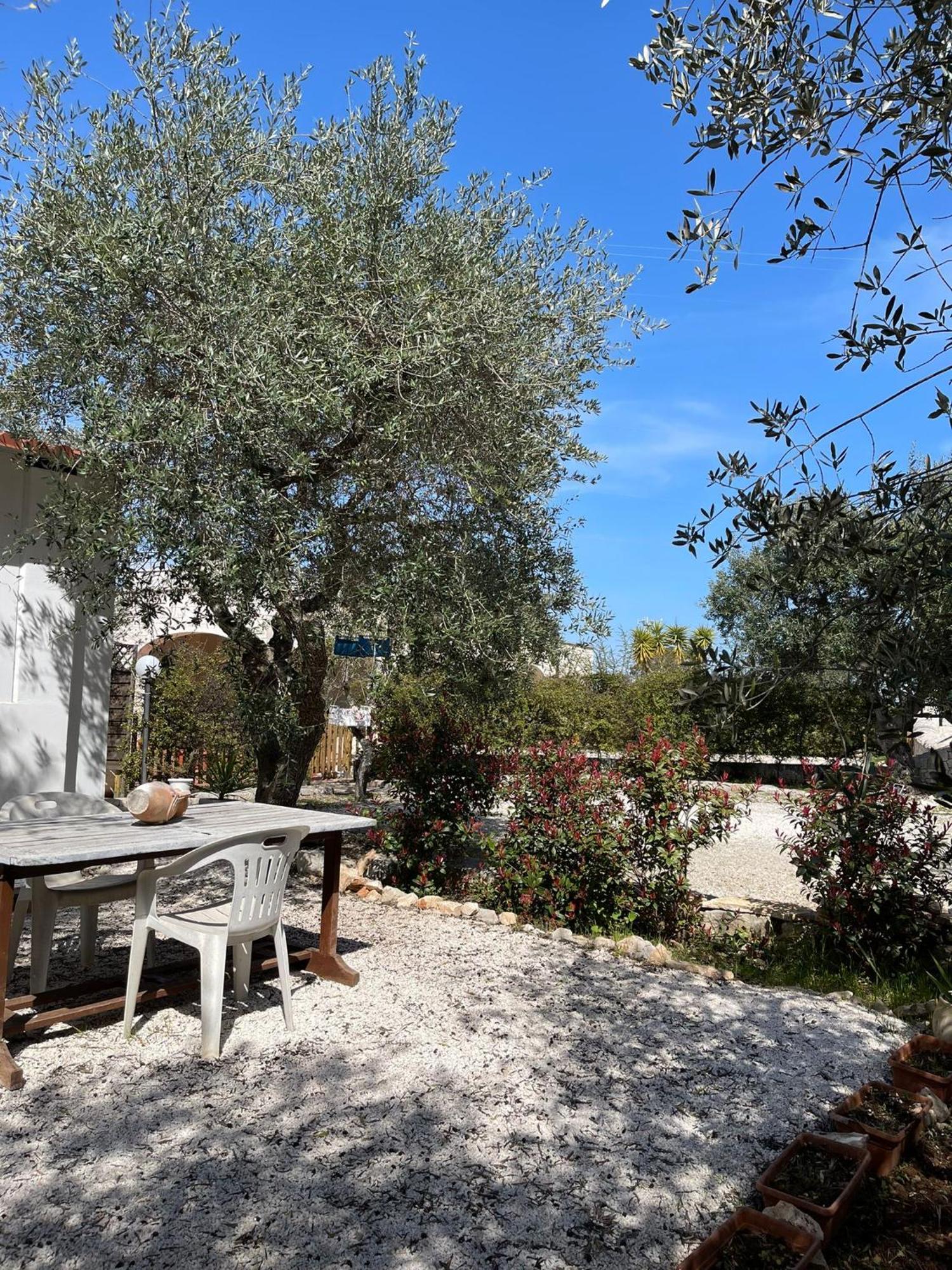 Villa Dama تْشيستيرنِنو المظهر الخارجي الصورة
